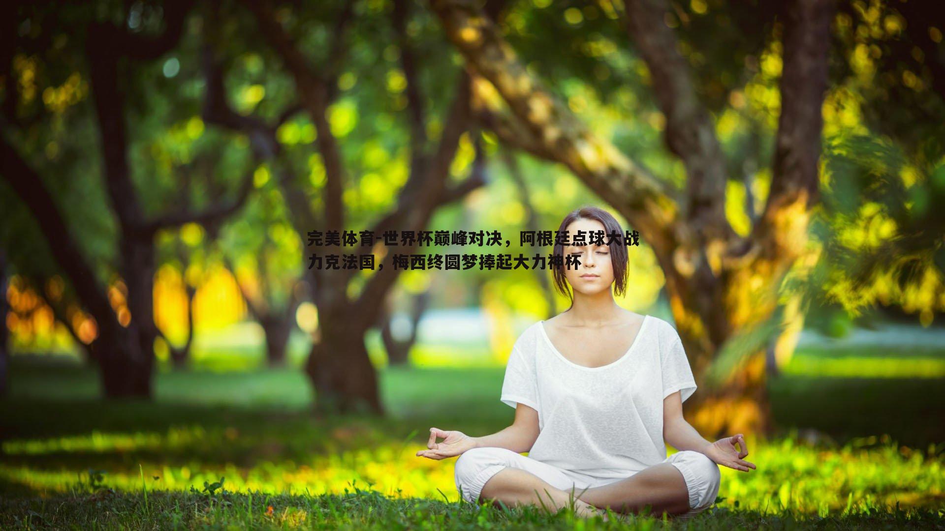 世界杯巅峰对决，阿根廷点球大战力克法国，梅西终圆梦捧起大力神杯